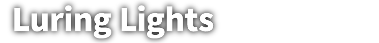 Luring Lights